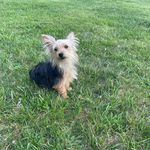 Robin South - @robinsouth2 - Instagram