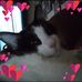 Robin Speer - Facebook