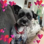 Robin Speer - @atomic_midcentuy_love_robin - Instagram