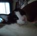 Robin Speer - Facebook