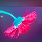 Robin Spurlock-White - @bobbin61 - Instagram