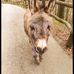Robin Stadler - Facebook