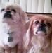 Robyn Stang - Facebook