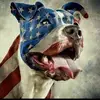 crazyboxermom - @robinstauffer - TikTok