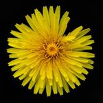 Robin Steed Photography - @rgfsteed - Instagram