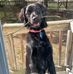 Robin Stephen - Facebook