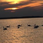 Robin Fine Stieglitz - @finestieglitz - Instagram