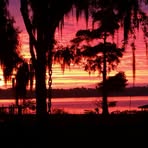 Robin Stowers - Facebook