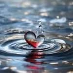 Robin Strickler Biscardi - @robinb65 - Instagram
