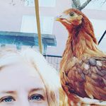 Robin Strickler Halford - @rabsabq - Instagram
