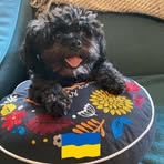 Robyn Zeigler Strickler - Facebook