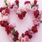 robin stucker - @robinstucker788 - Instagram