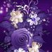 Robin Stucker - Facebook