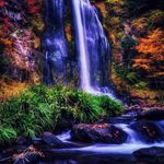 Robin Stucker - @robin.stucker.568 - Instagram