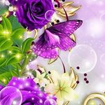 robin.stucker.568 - @robin_stucker.568 - Instagram