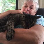 Robin Sullivan Corddry - @robincorddry - Instagram