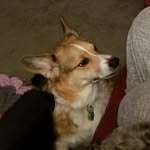 Robin Sumner - @sumner608 - Instagram