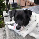 Robin Skrocki Sussman - @robiedoo123 - Instagram