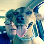Robin Sweatt - @robinsweatt8 - Instagram