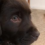 Robin - @robin_taber - Instagram