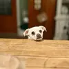 Robyn Talbott - @lifeinthehouseofdogs - TikTok