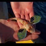 Robin Tanner - @rbntanner - Instagram