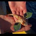 Robin Tanner - @rrtanner17 - Instagram