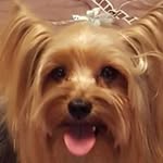 Robin Tanner Walker - @robin29571 - Instagram
