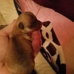 Robin Tapper - @robin.tapper.56 - Instagram
