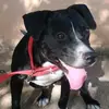 Robinsón tavarez - @robinsontavarez23 - TikTok