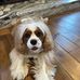 Robyn Thiele - Facebook