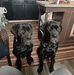 Robin Stiles - Facebook