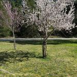Robin Thurber - @robinthurber - Instagram