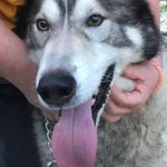 Robin Thurmond - @robin.thurmond.33 - Instagram