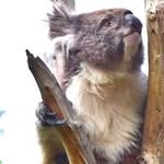 Robin Timms - @timmsrobin - Instagram