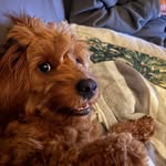 Robin Timms Boggs - @robinboggso1 - Instagram