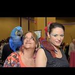 Robin Tipton - @robinsparrotnest - Instagram