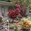 robintipton592 - @robintipton592 - TikTok