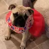 Robin Todd - @robin.todd - TikTok