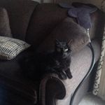 Robin Tomlinson - @tomlinsonrobin - Instagram