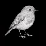 Robin Trail Counselling & Psychotherapy - @robintrailcounselling - Instagram