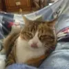 robintrail568 - @robintrail568 - TikTok
