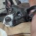 Robin Troy Moody - Facebook