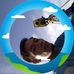 Robin Troy Zulueta - Facebook