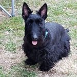 Robin Tryon - @tryonrobin - Instagram