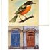 Robin Tudor - Facebook