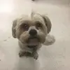 robinturley781 - @robinturley781 - TikTok