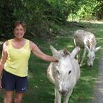 Robin Ulrich - @robin7103 - Instagram