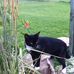 Robin Ulrich - Facebook