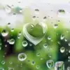 robinvaldes933 - @robinvaldes933 - TikTok